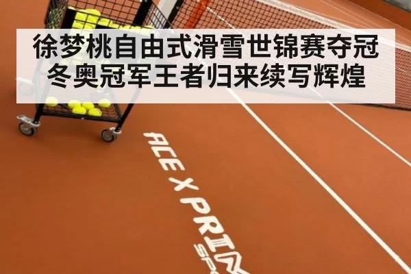 徐梦桃自由式滑雪世锦赛夺冠 冬奥冠军王者归来续写辉煌