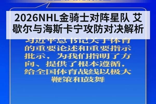 2026NHL金骑士对阵星队 艾歇尔与海斯卡宁攻防对决解析
